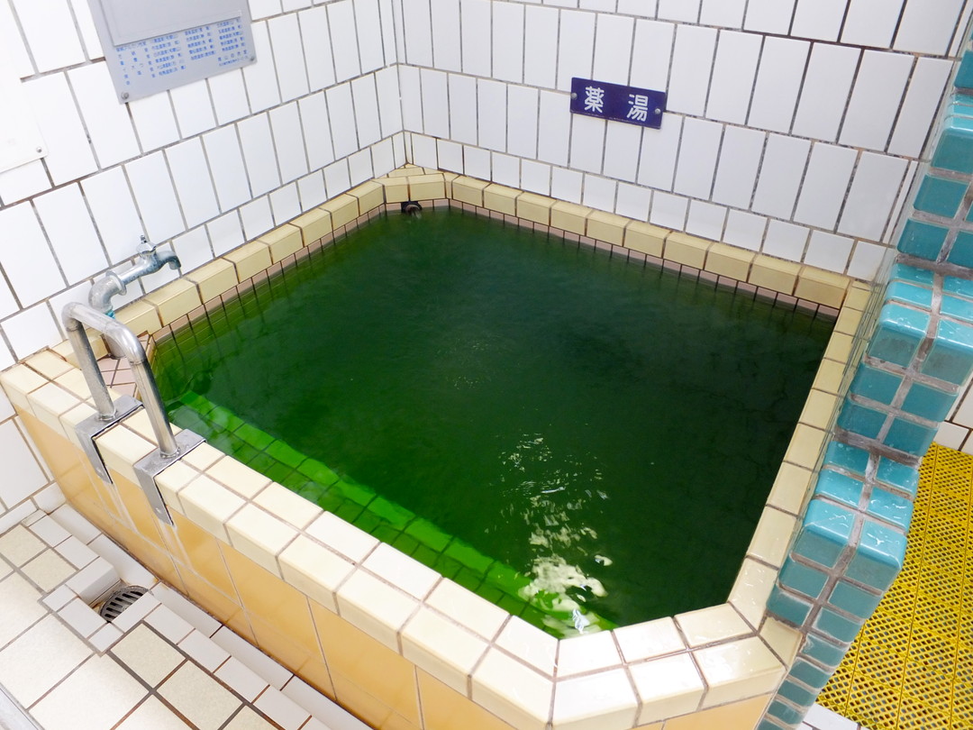 碧南 プール 温泉 利用券